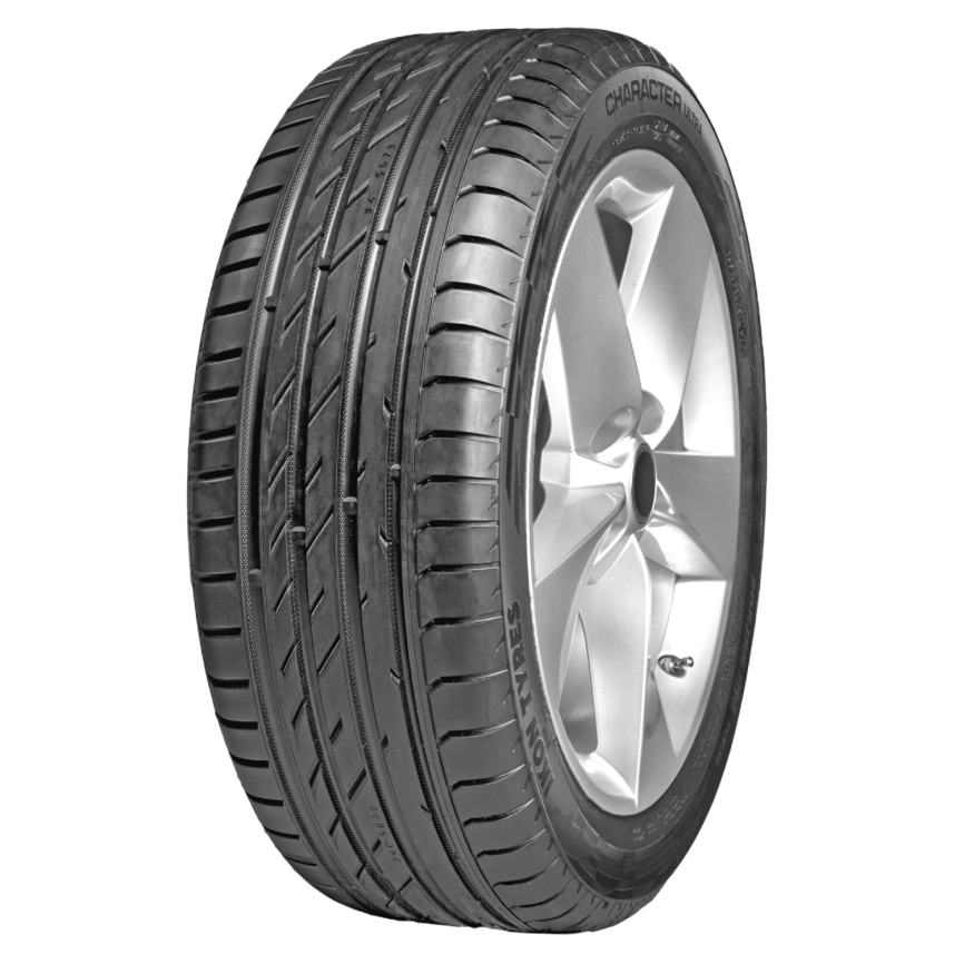 205/55R16 94V  Ikon Character Ultra (Nordman SZ2) фото 1